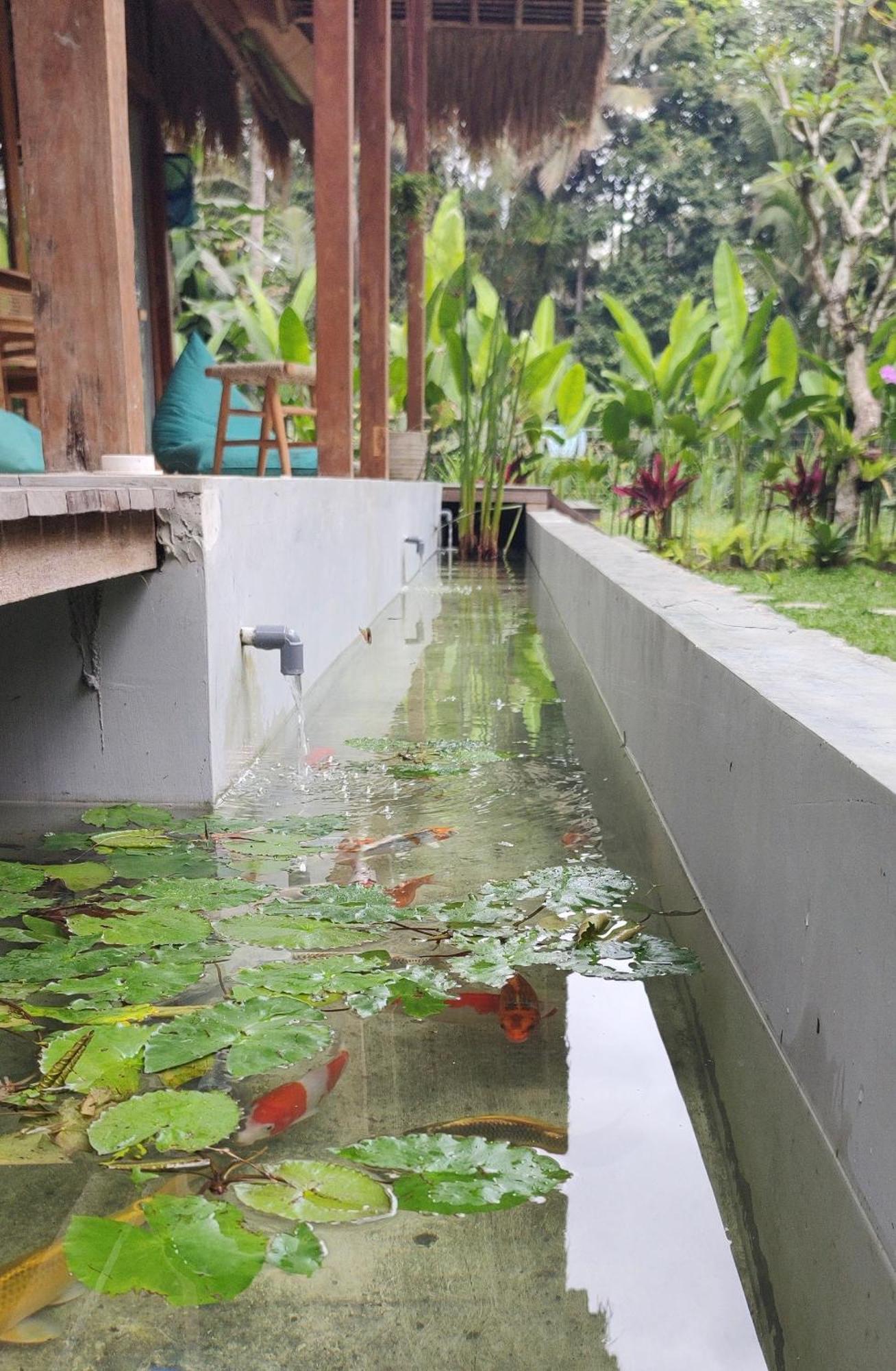 Rumah Guci Ubud Extérieur photo